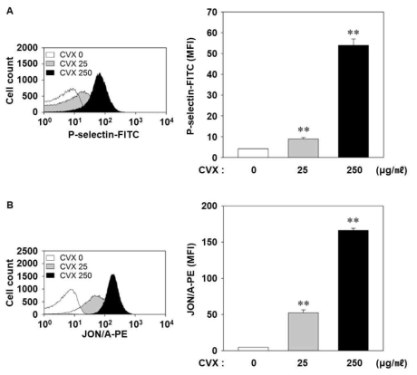 CVX 농도 의존적 혈소판 표면의 (A) P-selectin, (B) integrin aIIbb3 발현 증가와 활성화