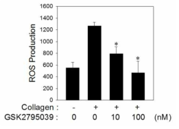GSK2795039에 의한 활성화된 혈소판에서 ROS 발생의 억제