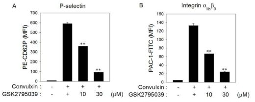 GSK2795039에 의한 convulxin-stimulated 혈소판 응집반응 억제 효과