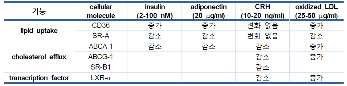 대식세포의 포말세포화에 관여하는 다양한 molecule들과 이에 영향을 주는 호르몬들