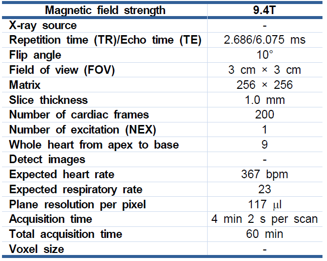 마우스 맞춤용 MRI scan parameters