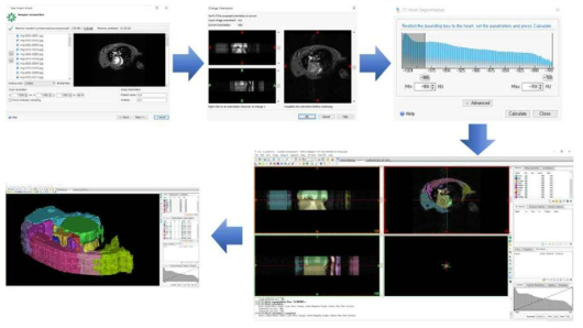 마우스 심혈관 모델 제작을 위한 컴퓨터 단층 촬영(CT) 데이터를 이용한 segmentation 과정