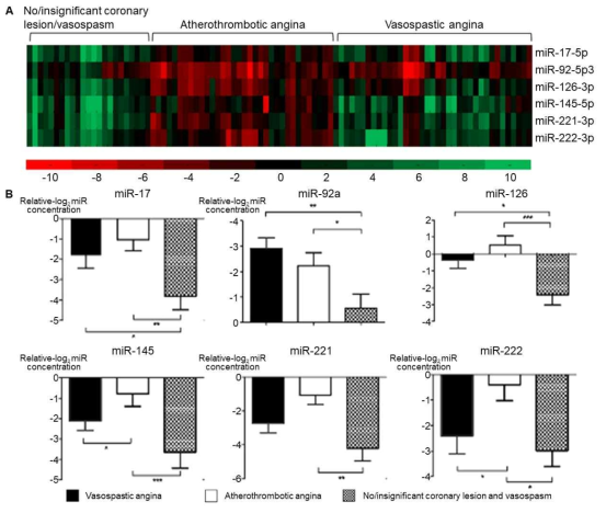 Circulating microRNA profiles according to CAG results. NCL, AA, VA의 microRNA 발현 heatmap. (A) 세 그룹간에 microRNA의 발현 패턴이 서로 다름을 보여주고 있음, (B) miR은 NCL에 비하여 AA와 VA 모두 증가하였으며, 특히 VA와 NCL의 비교에서 유의미성을 보여주는 microRNA