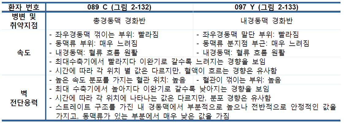 경동맥 스트레이트 구조 속도 분포 및 벽 전단응력 비교 분석