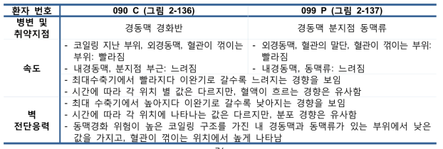 경동맥 코일링 구조 속도 분포 및 벽 전단응력 비교 분석