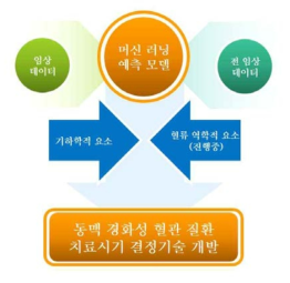 동맥경화성 혈관 질환 치료시기 결정기술 개발 요약도