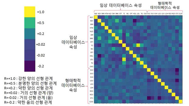 통합 데이터베이스 속성 간의 연관성 분석 결과