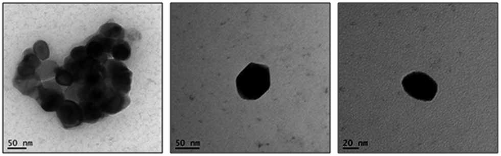 TEM으로 촬영한 다양한 크기와 모양의 nano-alumina. 물에서 부유하는 nano-alumina 조각 크기는 30–60 nm range