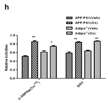 (h)는 Adipo-/- mice와 APP/PS1 mice brain을 적출하여 AMPK와 SIRT의 활성을 나타낸 historam