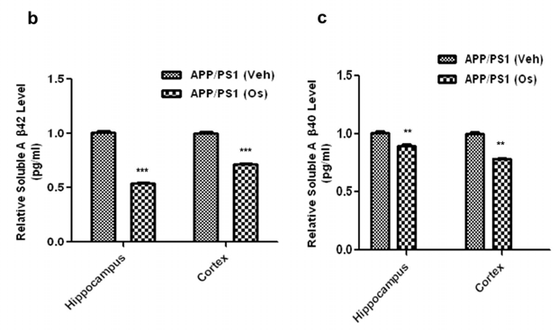 (b, c)는 APP/PS1 마우스의 피질과 해마에 오스모틴을 처리한 군과 처리하지 않은 군의 (b) Aβ1 –42와 (c) Aβ1–40를 ELISA 분석한 결과. soluble한 Aβ1–42와 Aβ1–40 모두 오스모틴 처리군에서 현저하게 줄어들었음을 알 수 있었음