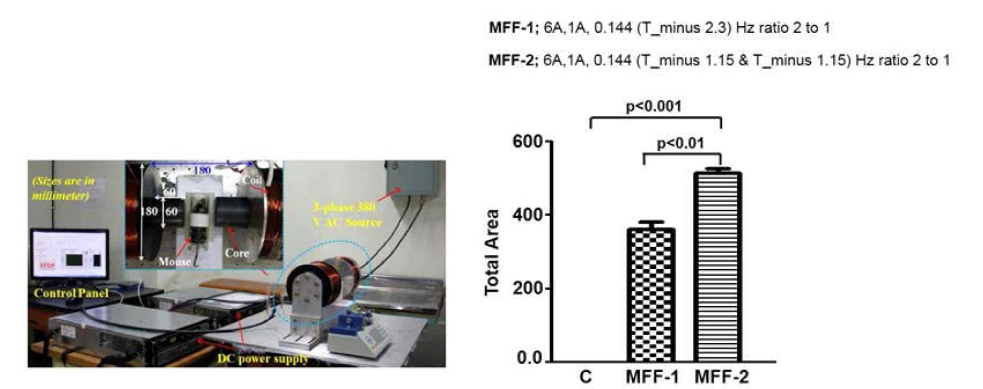 수정된 Field Function 안내의 in vivo 결과