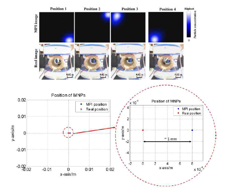 자성입자이미징(MPI) 2차원 실시간 영상처리 결과