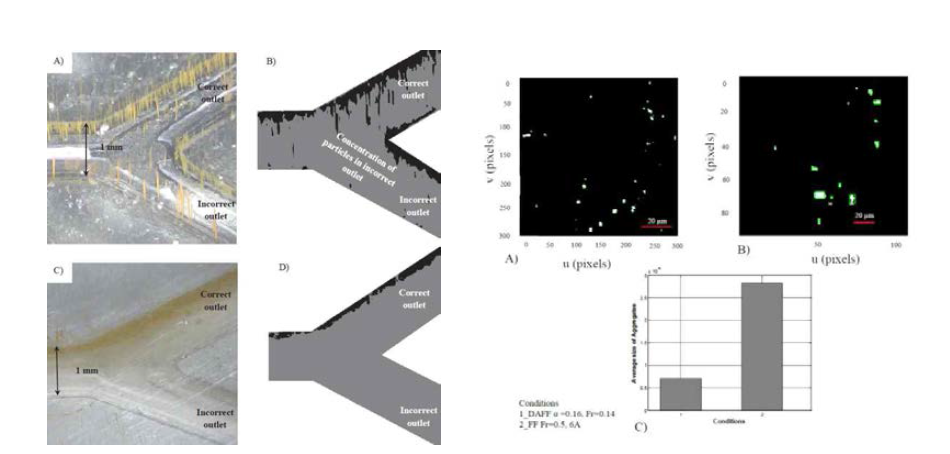 aggregation 방지 제어기법에 의한 In vitro & In Vivo 실험