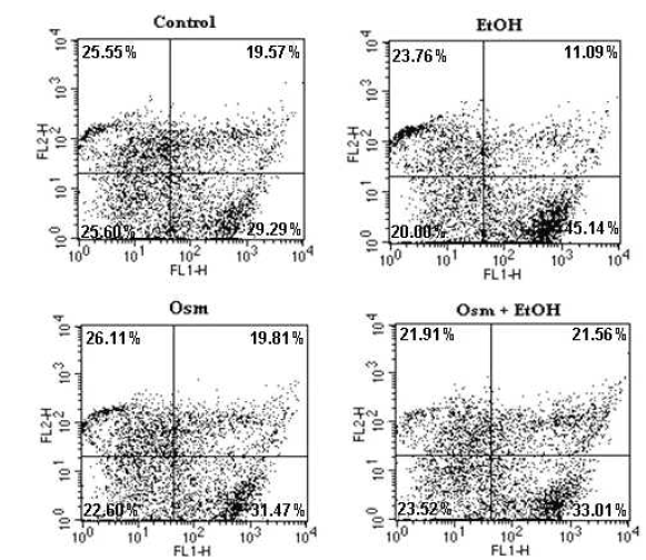 Control: untreated, EtOH: ethanol (100 mM), Osm: osmotin (0.16 µM), Osm+EtOH: osmotin(0.16 μM) plus ethanol (100 mM)