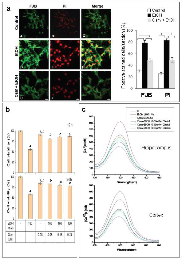 a) Fluoro-Jade B (FJB; green), propidium iodide (PI; red); b) MTT assay; c) 세포내 칼슘이온 측정. Control: untreated, EtOH: ethanol (100 mM), Osm: osmotin (0.16 μM), Osm+EtOH: osmotin(0.16 μM) plus ethanol (100 mM)