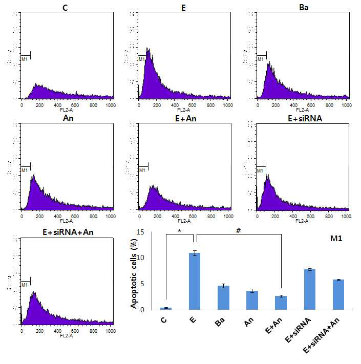 안토시아닌이 에탄올에 의해 발생하는 세포사멸을 억제함 FACS 분석을 통해 확인. Control (C); 100mM ethanol (E); 0.1 mg/mL anthocyanins (An); Ba; baclofen, 100 mM ethanol + 0.1 mg/mL anthocyanins (E+An); 100 mM ethanol added to cells transfected with 40 nM GABAB1R siRNA (E+siRNA) ; and 100mM ethanol + 0.1mg/mL anthocyanins added to cells transfected with 40nM GABAB1R siRNA (E+siRNA+An). M1 indicates cell cycle arrest phase in mitosis. Significance= *p< 0.05 different from control; #p < 0.05 different from ethanol