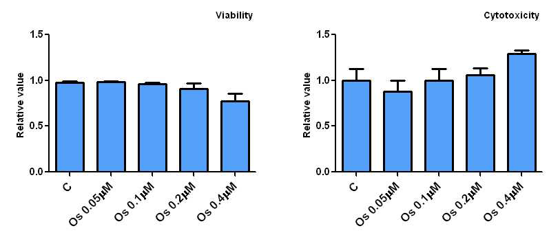 태아 쥐 GD 17.5일 해마 세포 초대배양에서 오스모틴의 농도별 처리에 의한 세포 생존(vialbility) 및 세포독성(cytotoxicity) 검증