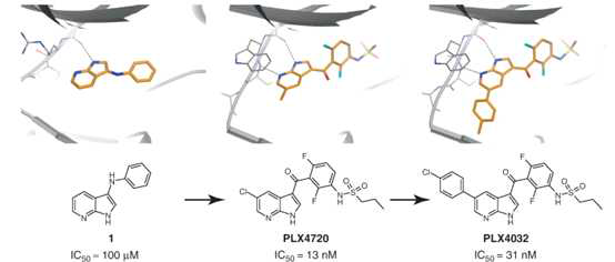 복합체 삼차구조 분석을 통한 Vemurafenib 개발 과정 (Murray et al.,Trends Pharmacol Sci. 2012 May;33(5):224-32)