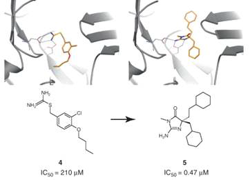 복합체 삼차구조 연구를 통한 MK-8931 개발 과정 (Murray et al., Trends Pharmacol Sci. 2012 May;33(5):224-32)