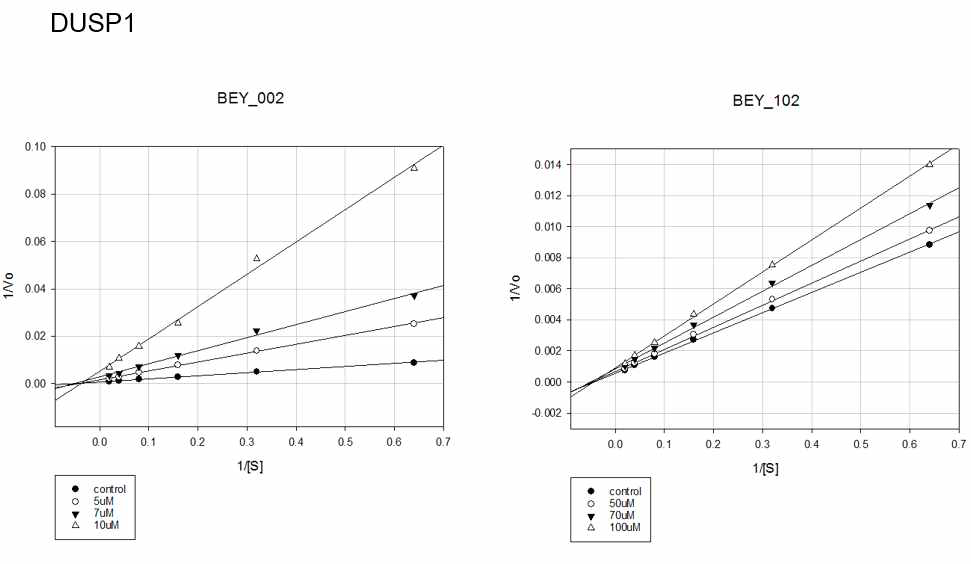 DUSP1 저해효과가 좋은 화합물의 Linweaver-Burk Plot (서로다른 저해제 농도에 의해 만들어지는 여러 직선이 x 축에서 만나고 있어서 저해제 농도가 KM 값에 영향을 주지 않는다는 것을 알 수 있다, BEY 는 참여기업인 Beyondbio 의 약자임)