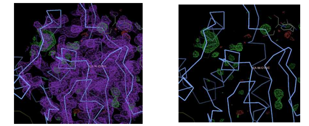 DUSP10-알로스테릭저해제 복합체의 전자밀도지도. (왼쪽) 2Fo-Fc map (보라색) 과 Fo-Fc map (녹색)을 DUSP10 구조와 함께 표시. (오른쪽) Fo-Fc map (녹색)만 을 DUSP10 구조와 함께 표시