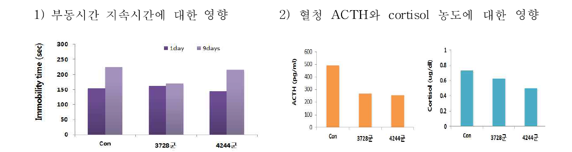 강제수영 우울증 모델에서 물질 3728과 4244의 부동시간 지속과 혈청 ACTH와 코티졸의 농도에 미치는 영향 (3728 : 3.32ug/g, 4244: 3.74ug/g = PC12 EC50 20X)