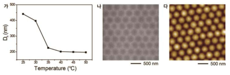 (가)본 연구에서 사용한 연성나노입자의 수용액 상에서 온도에 따른 수력학적(hydrodynamic) 직경 변화. (나,다)Close-packed 연성나노입자 결정단층막의 morphology를 보여주는 (나)SEM 및 (다)AFM 사진