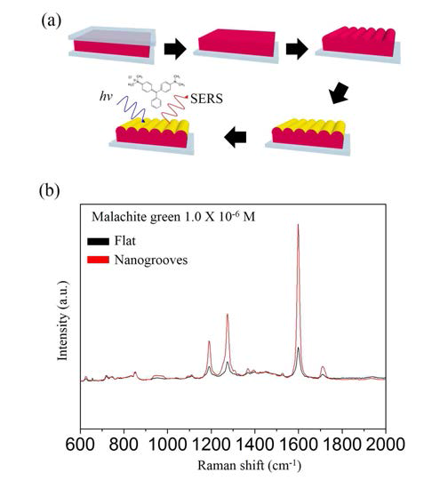 (a) 유기액정 나노그루브의 SERS 기판 제작에 대한 모식도. (b) 금 박막이 코팅 된 나노그루브의 SERS 스펙트럼