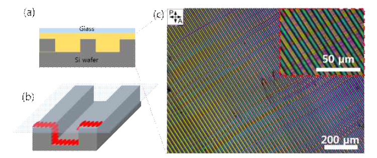 줄무늬 문양의 3차원 기판을 이용한 스멕틱 액정의 단일 도메인 형성. (a) 액정샘플의 단면 스케치. (b) 줄무늬 기판에서의 액정분자의 배열에 대한 스케치. (c) 단일도메인의 편광현미경 사진과 확대된 사진