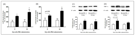 PB-1 투여 마우스 분변(A), 혈액(B)에서의 LPS 양 및 장조직에서의 TLR4(C), TNF-α(D) 발현의 증가 확인(□: Normal, ■: PB-1)