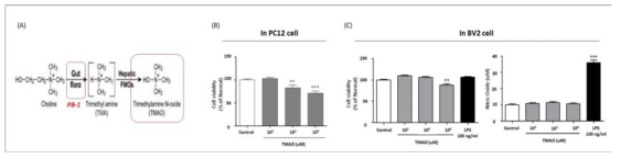 PB-1 유래 microbial metabolite인 TMAO(A)의 PC12 cell 사멸 유도(B) 및 BV2 cell에서의 NO 발현량 변화(C) 확인