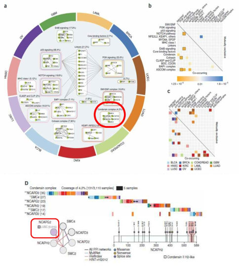 NGS를 결과를 이용한 cancer mutation 들의 중요도 분석