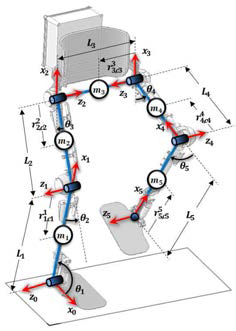 Schematic Design of lower-limb exoskeleton robot