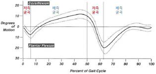 발목의 움직임 : 평균 값(실선), 표준편차(점선)