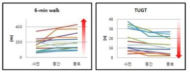 기능검사 평가 결과(보행거리/동적 평형 검사)