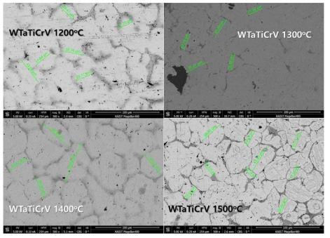 소결된 WTaTiCrV 합금 시편의 열처리 후 SEM 사진