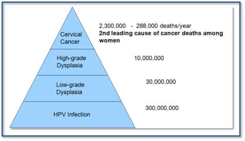 Worldwide HPV infection and cervical cancer