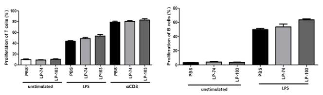 CD4+ helper T cells의 증식