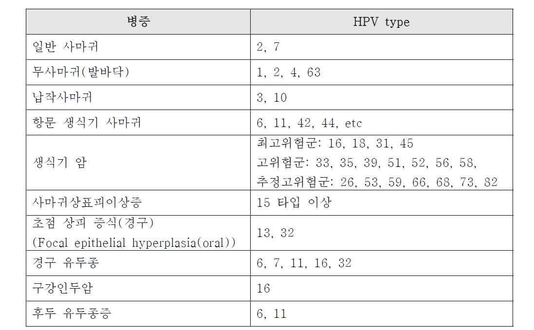 HPV 유전자형과 병증