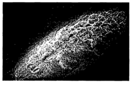 CuCrZr 표면의 porous coating 형상