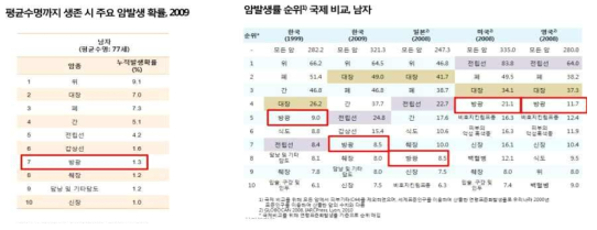 방광암 발생률의 국내 순위와 국제 비교