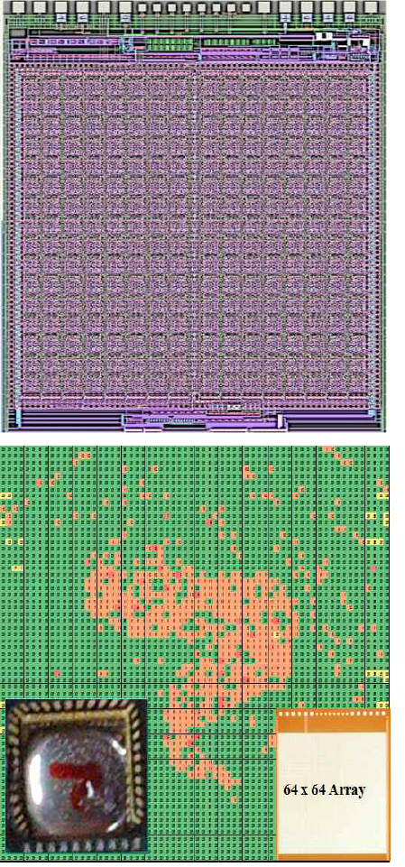 (a) 4K ISFET 센서칩의 전체 Layout, (b) 일부 센서에 “ㄱ” 모양의 빨간 잉크를 도포한 후 측정한 결과 Map
