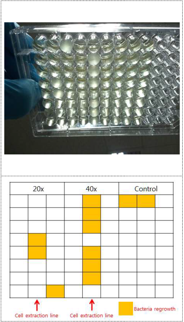 레이저를 이용한 박테리아 콜로니 추출 초점거리: d=6.86mm(20×), d=4.56mm(40×)
