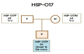HSP-017 임상시료 가계도