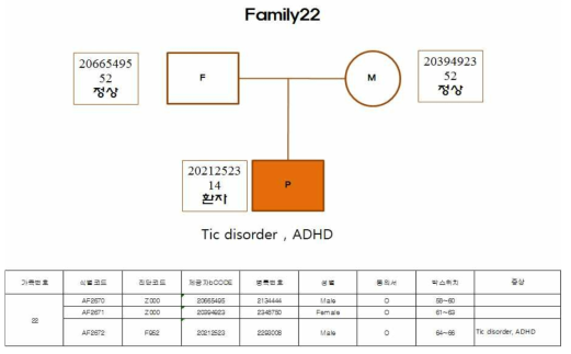 Family22 가계도 및 임상정보
