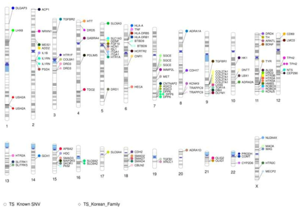 한국인 TS genetic variants map