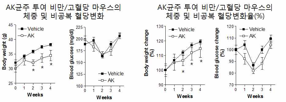 AK 균주 투여에 따른 체중 및 비공복 혈당변화