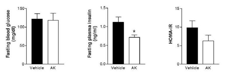 AK 균주 투여 비만/고혈당 마우스의 공복혈당/인슐린 HOMA-IR 분석