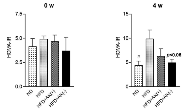 활성형 및 비활성형 AK 균주의 인슐린 저항성 지표(HOMA-IR) 개선 효과 비교