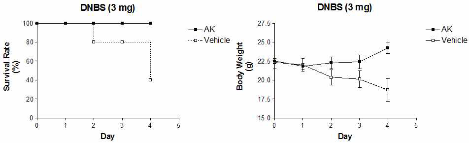 DNBS 유도 대장염 모델에서 생존율과 몸무게 감소에 미치는 AK 균주의 효과